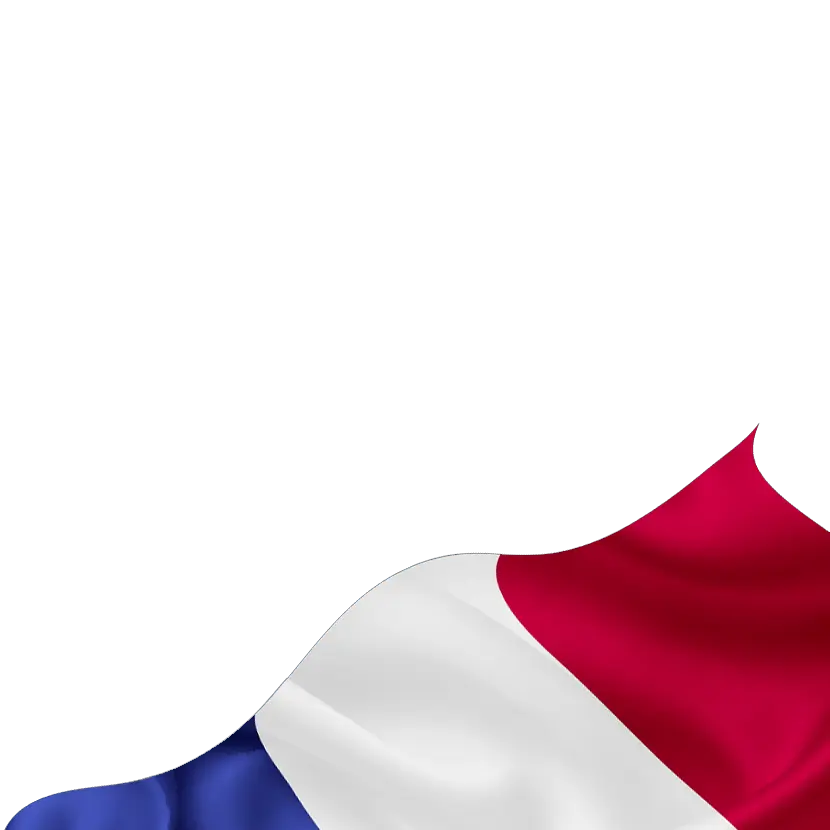 フランスの強みのマスク