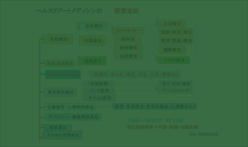 故阿岸先生のヘルスリゾート・メディシン 概念図 