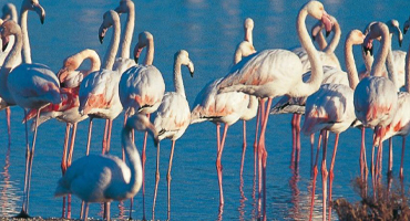 Thalasso Spa La Grande-Motte