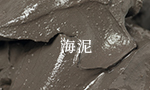 海泥